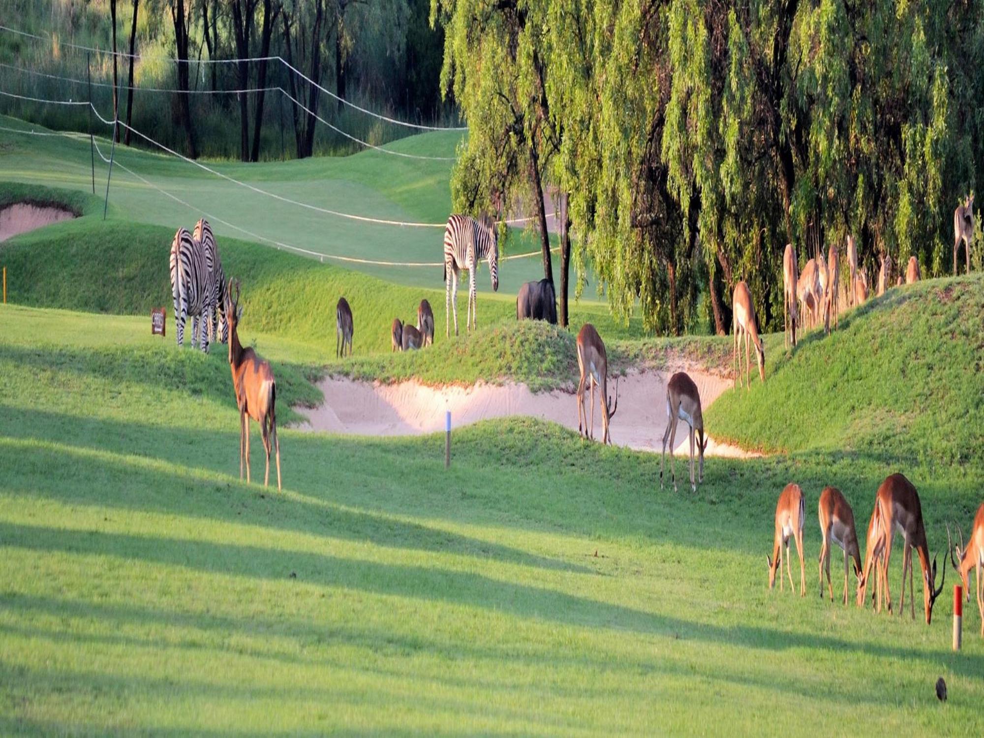 ベラ・ベラ Elements Private Golf Reserveヴィラ エクステリア 写真